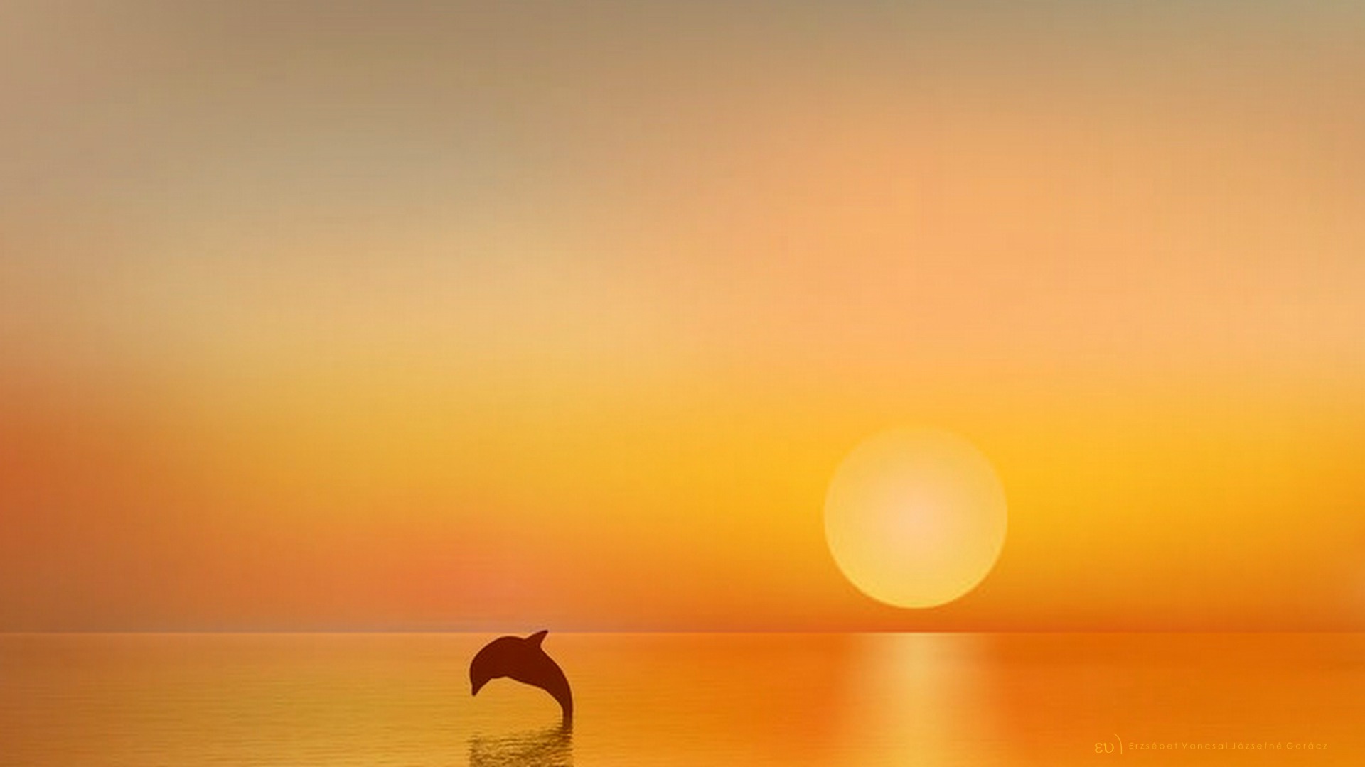 Delfin a naplementében