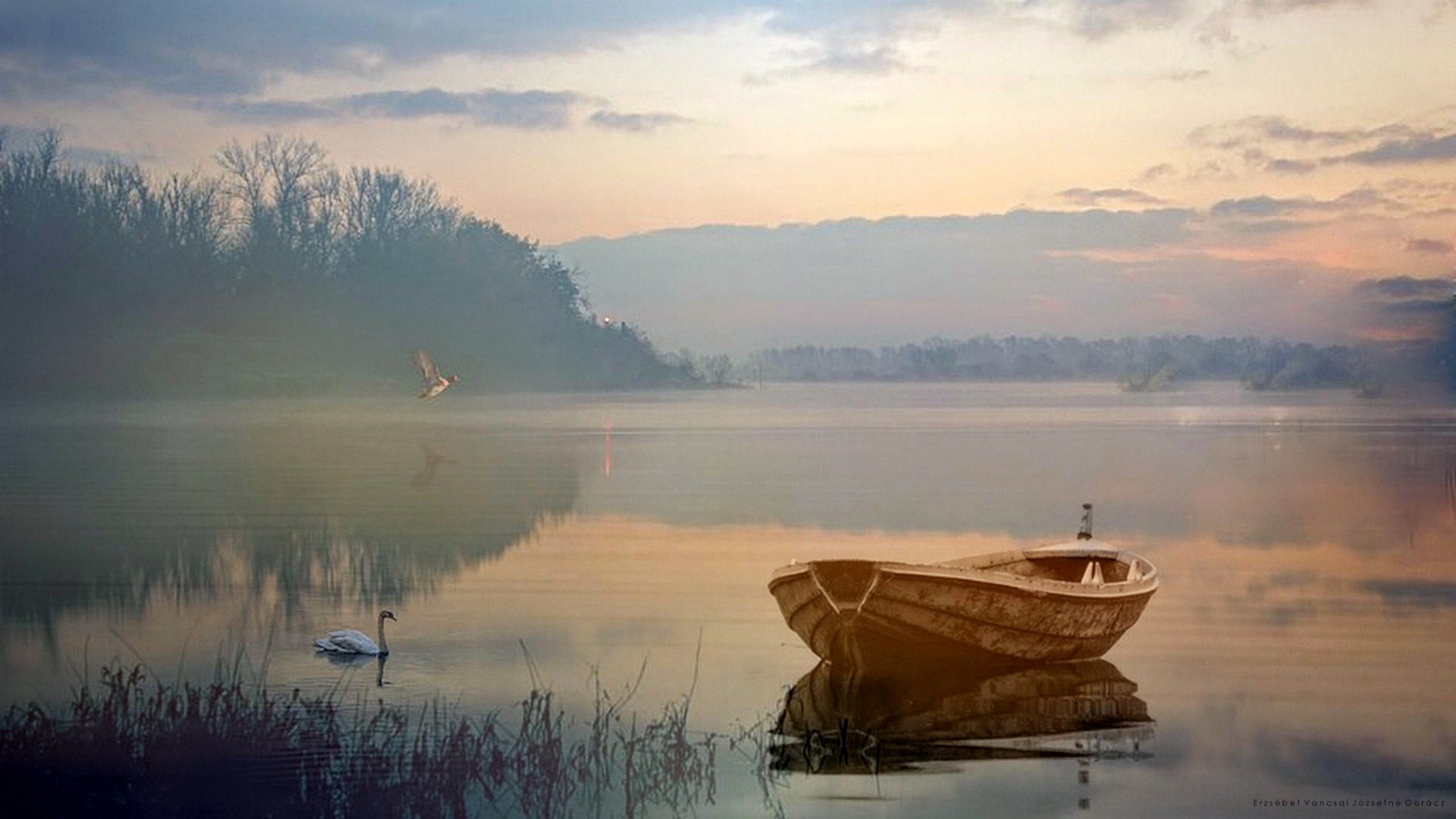 Still life by the lake