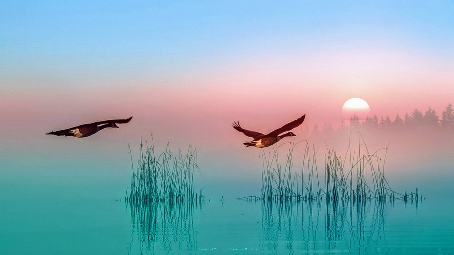 Summer sunset at the lake