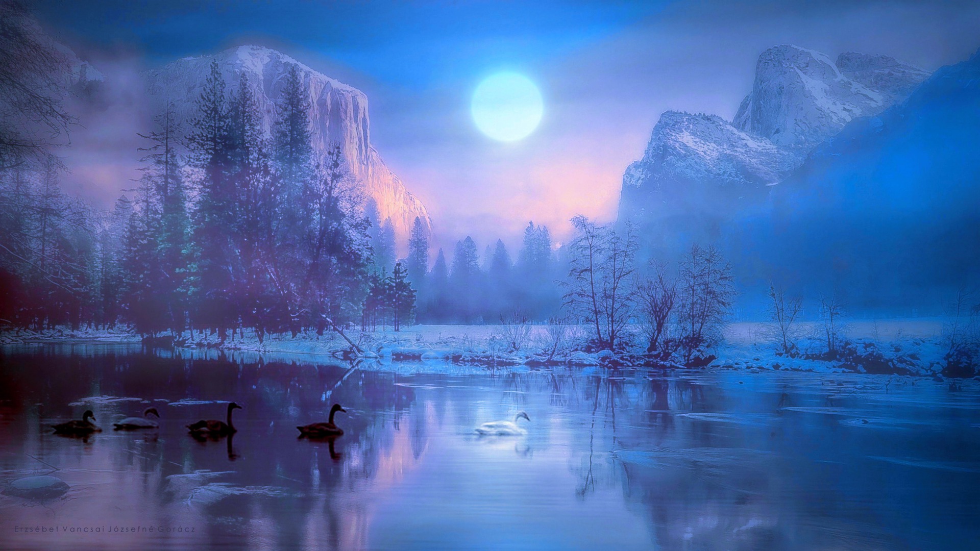 Téli napsugár és a hattyúk