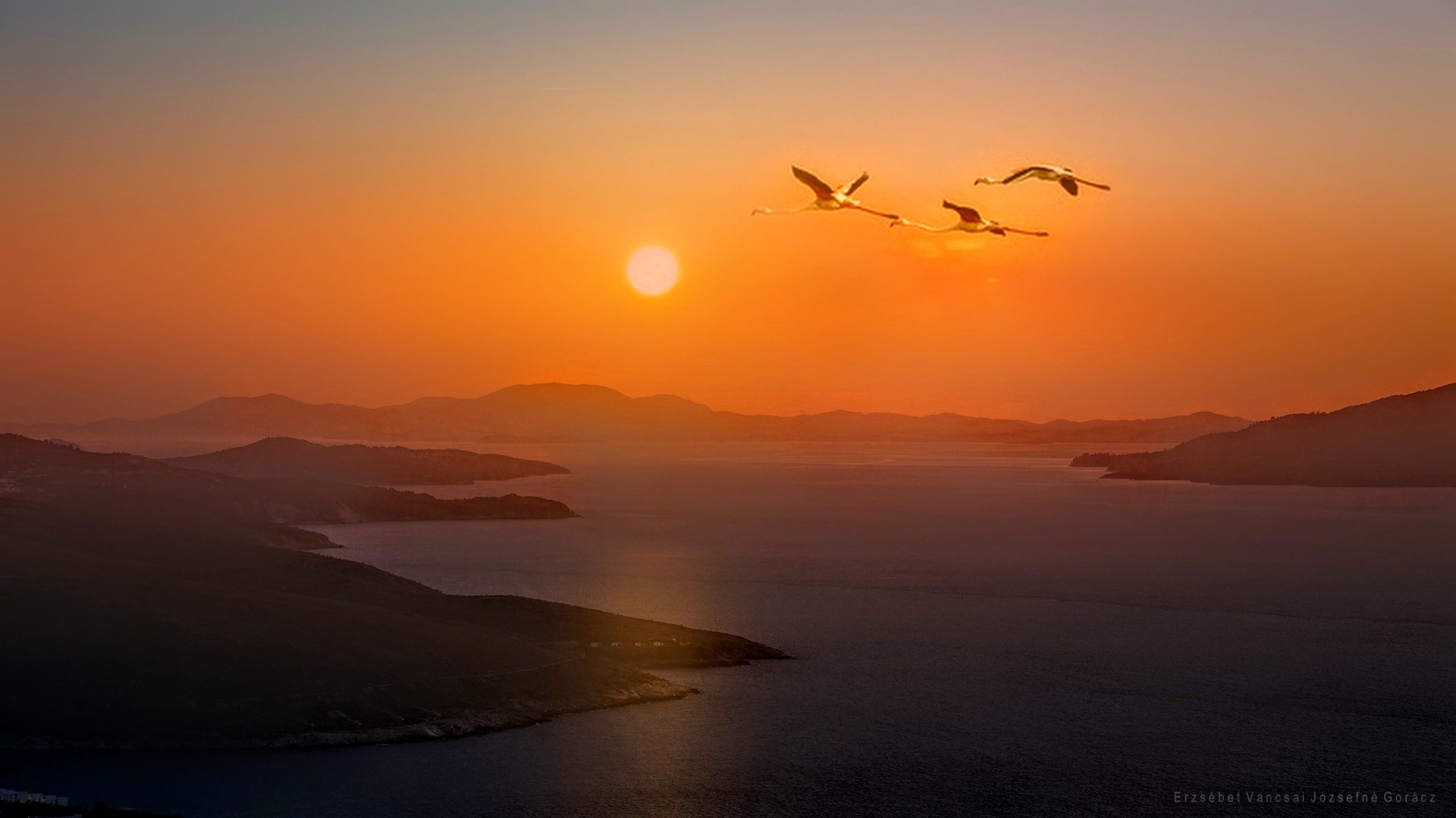 Repülő flamingók a naplementében 