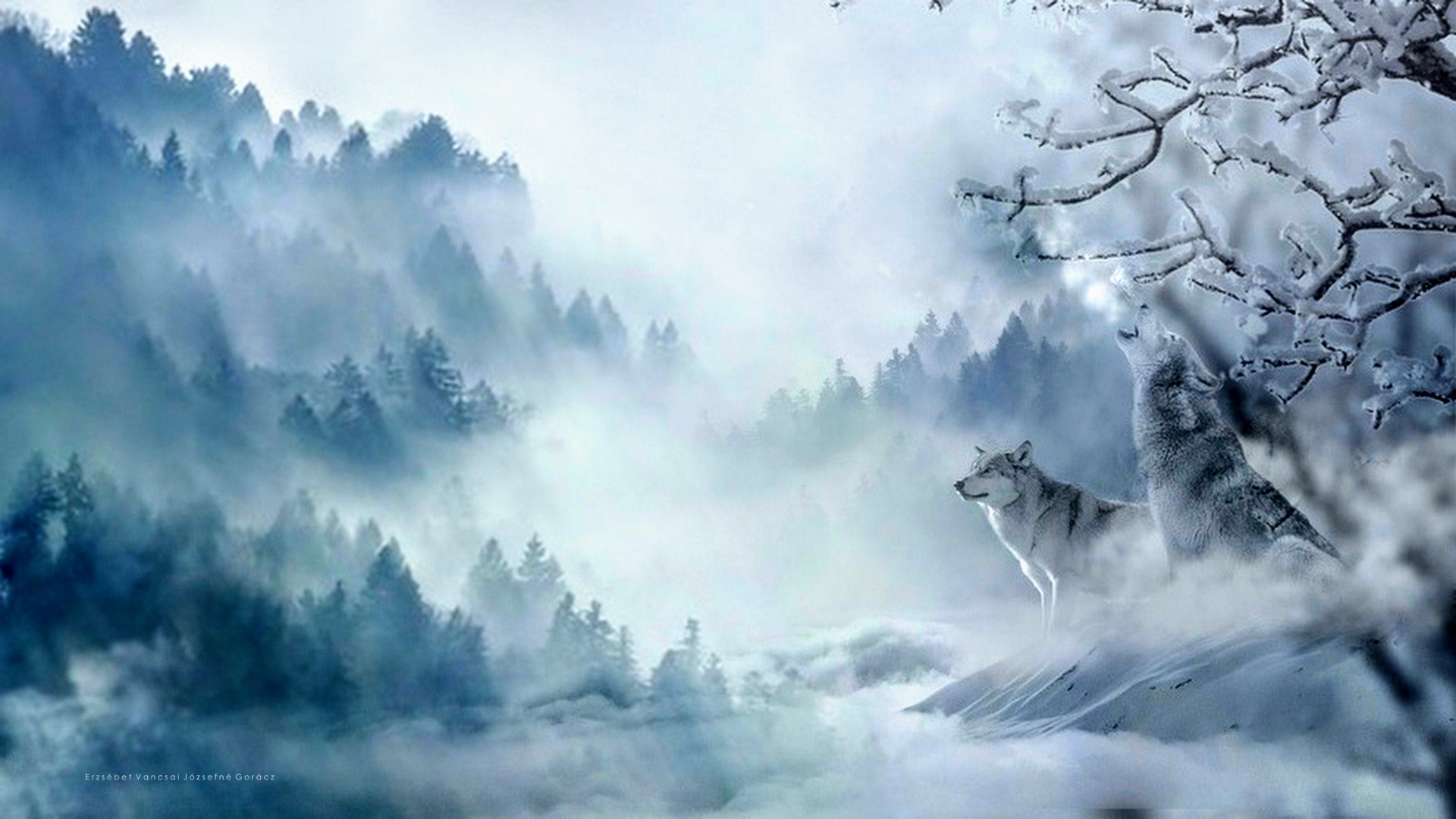 Wolf howling cold